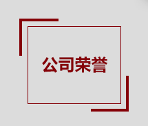 公司荣誉